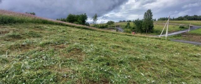 Холмогорье КП