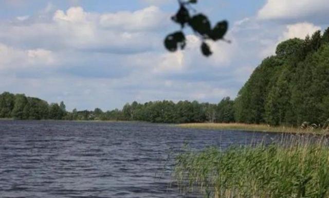 Заозерье снт