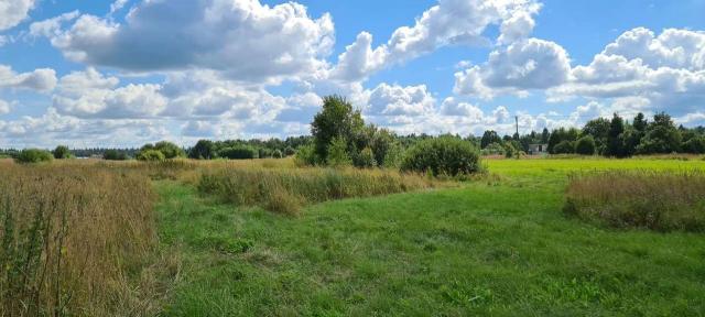 Рождествено село, 1- я линия