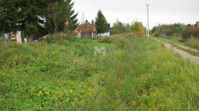 Посадников Остров массив, 202