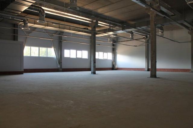 Порошкино дер., д. 1733