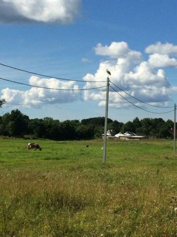 Заостровье дер.
