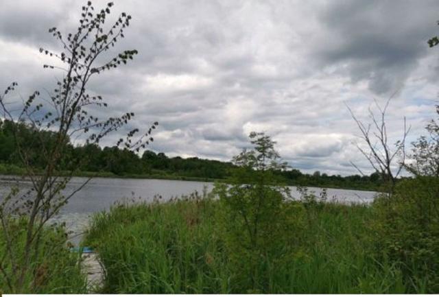 Городец дер.