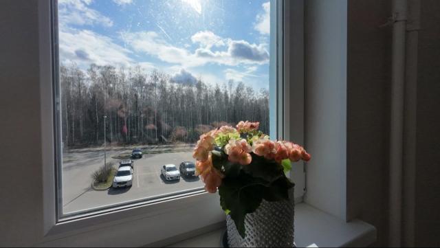 Сертолово г., Тихвинская ул., д 10