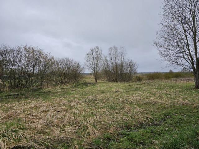 Оредеж пос., Комсомола ул.