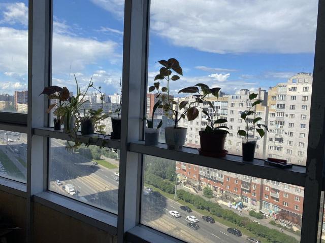 Луначарского пр., 15к1