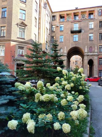 Рубинштейна ул., 15Ц