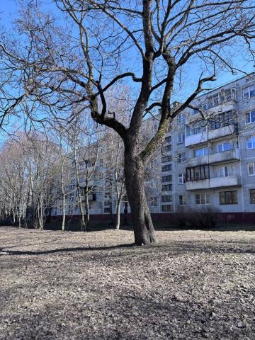 Ленинградская область, Выборг г., Приморская ул., 17