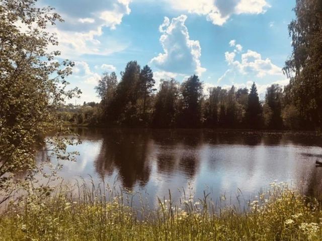 Ленинградская область, Ильжо дер.