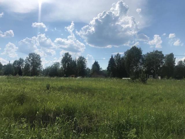 Ленинградская область, Смерди дер.