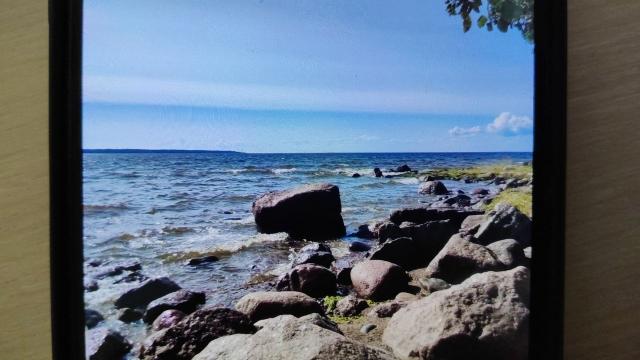 Ленинградская область, Вязы пос.