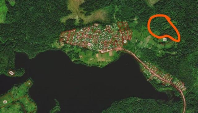 Ленинградская область, Курпово дер.