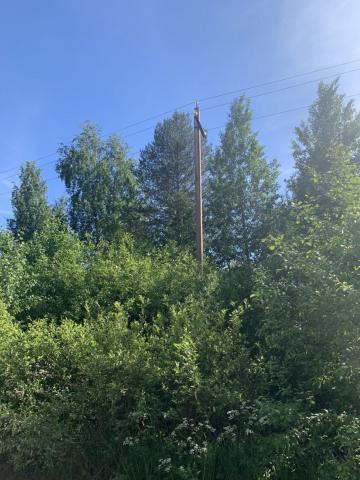 Ленинградская область, Приладожское городское поселение, Лесная ул.