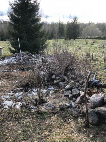 Ленинградская область, Яшино дер.