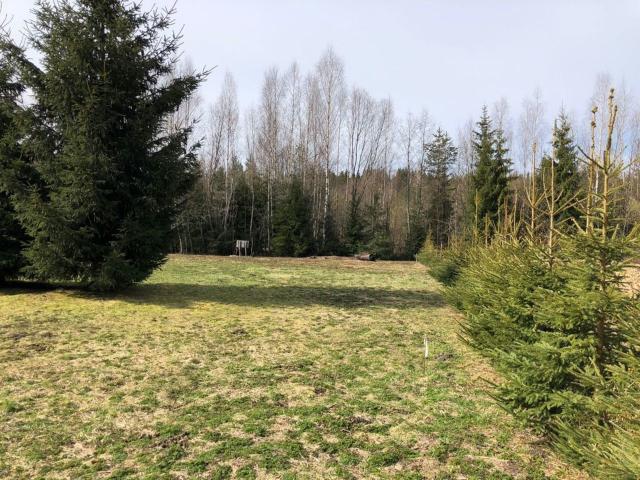 Ленинградская область, Яшино дер.