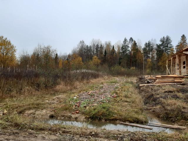 Ленинградская область, Белоголово дер.
