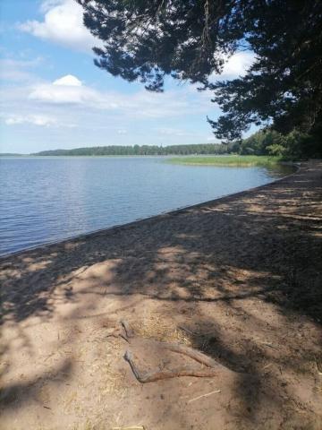 Ленинградская область, Красная Долина пос.