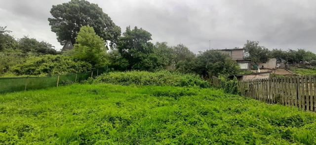 Красноармейское сад., 96