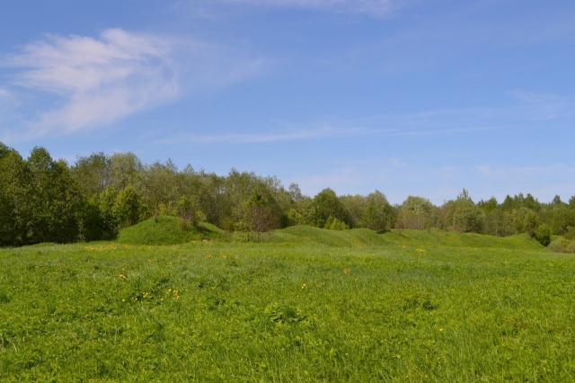 Ленинградская область, Путилово с.