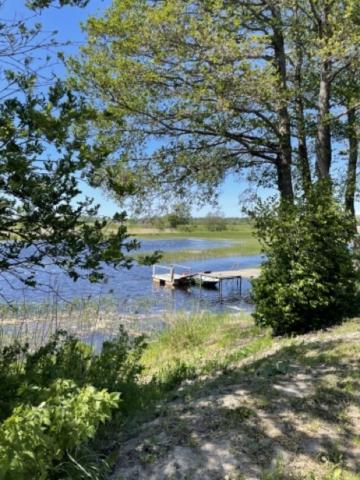 Ленинградская область, Ударник дер.