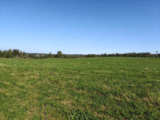 Ленинградская область, Сосново пос.