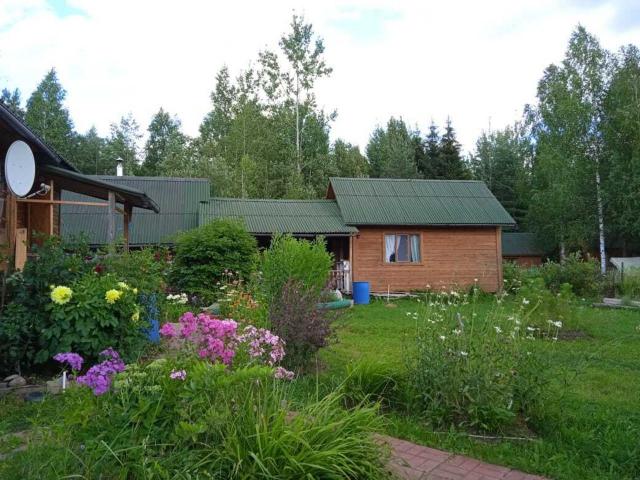 Ленинградская область, Радофинниково массив