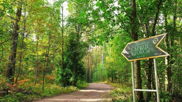 Ленинградская область, Четверяково дер.