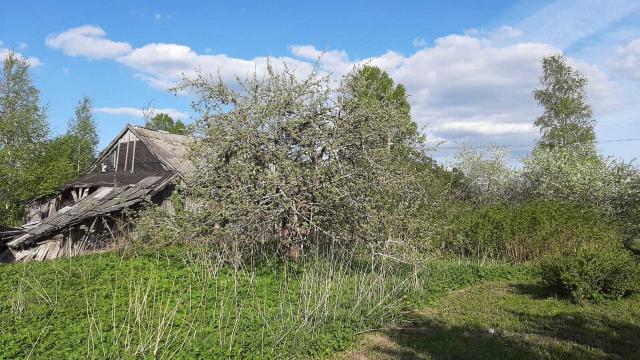 Ленинградская область, Новая Буря дер.