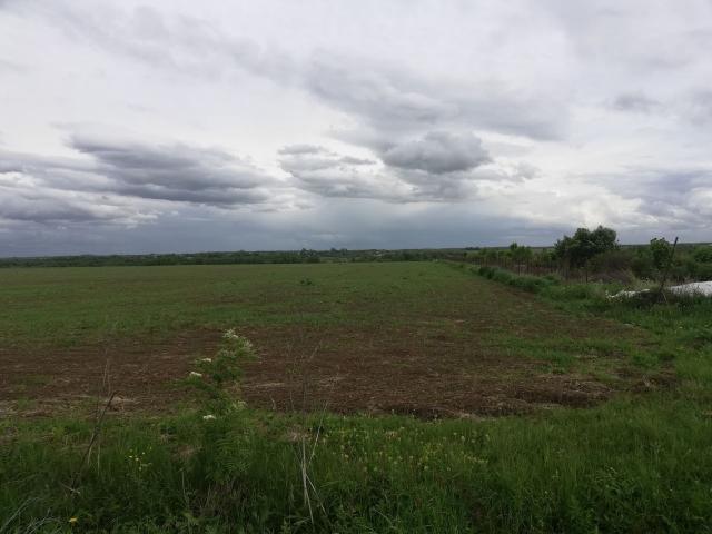 Ленинградская область, Путилово с.