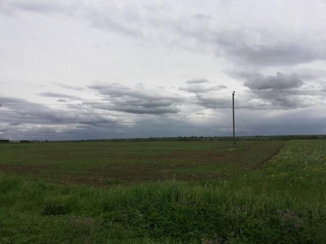 Ленинградская область, Путилово с.