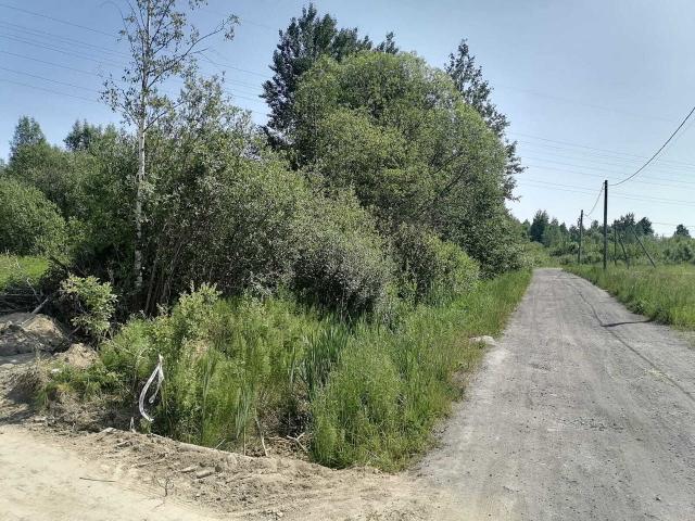 Ленинградская область, Кискелово массив