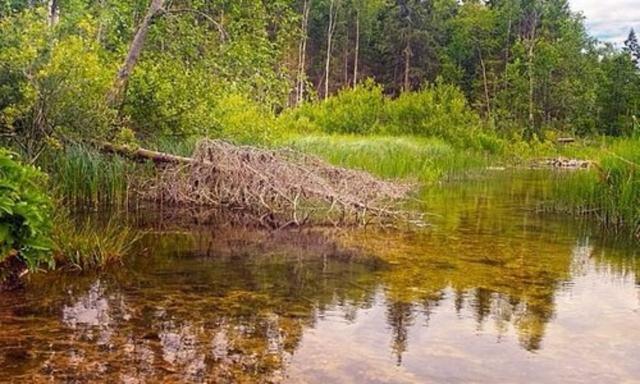 Ленинградская область, Корпиково дер.