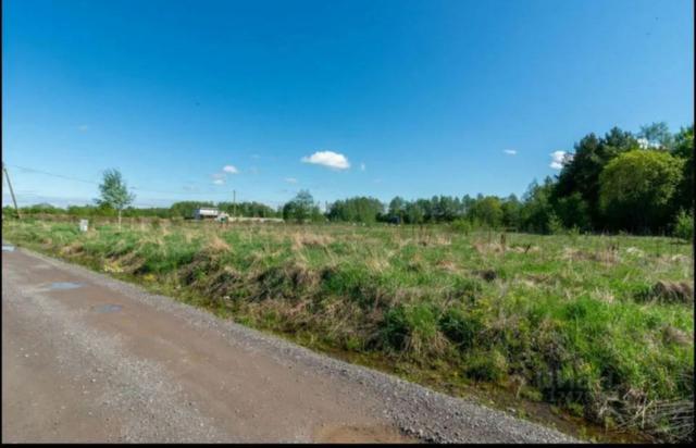 Ленинградская область, Зеленый лес ДП