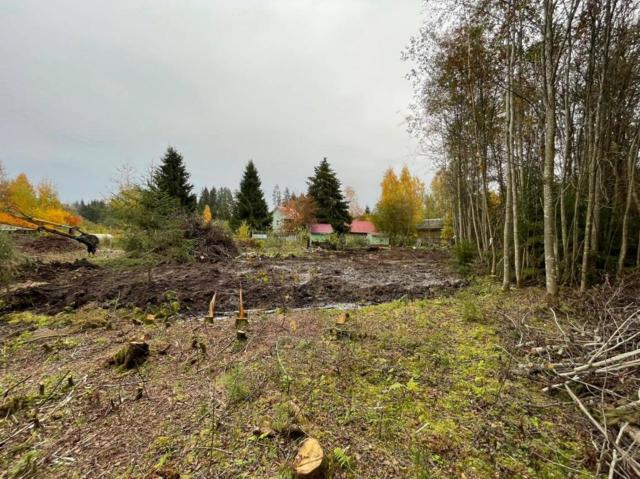 Ленинградская область, Синево дер.