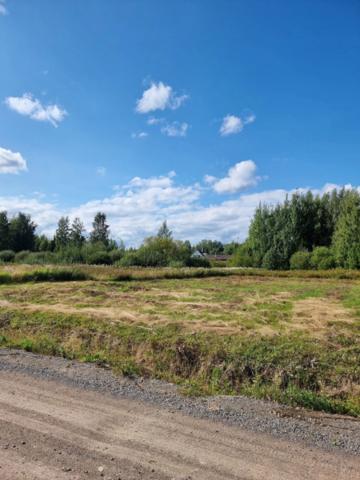 Ленинградская область, Сосново пос.