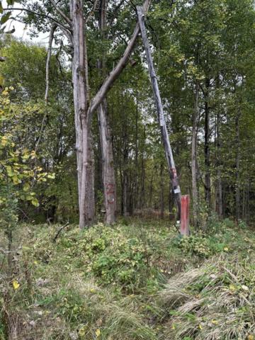 Линдуловская дорога, 3