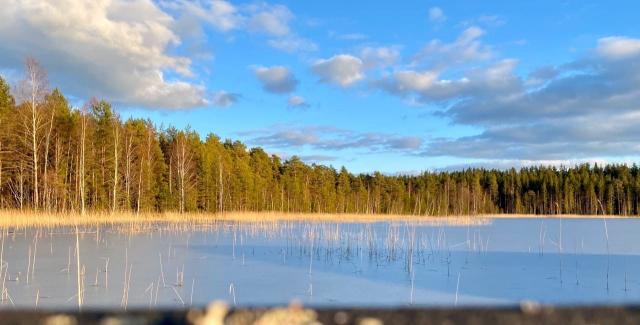 Ленинградская область, Светлое дер., Центральная ул., 33