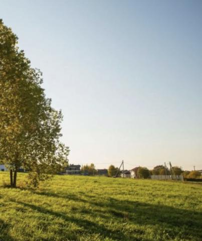 Ленинградская область, Пупышево массив, Оргтехстрой СНТ