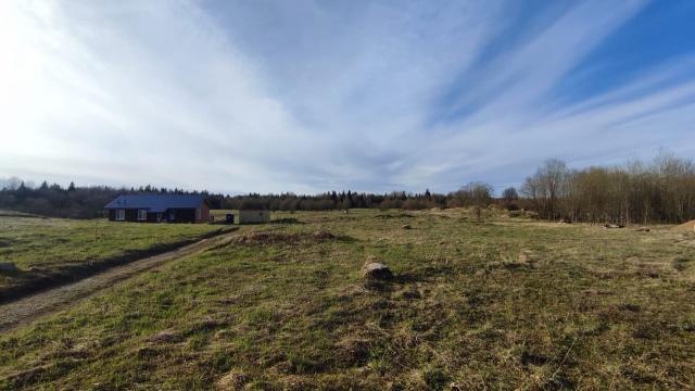 Ленинградская область, Большие Озертицы дер., 34