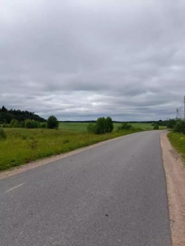 Ленинградская область, Шелково дер.