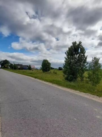 Ленинградская область, Добряницы дер.