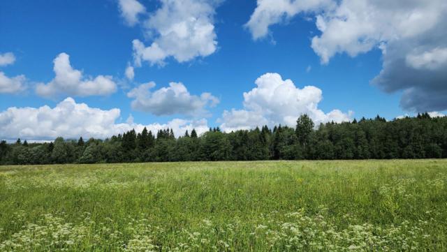 Ленинградская область, Малая Александровка дер.