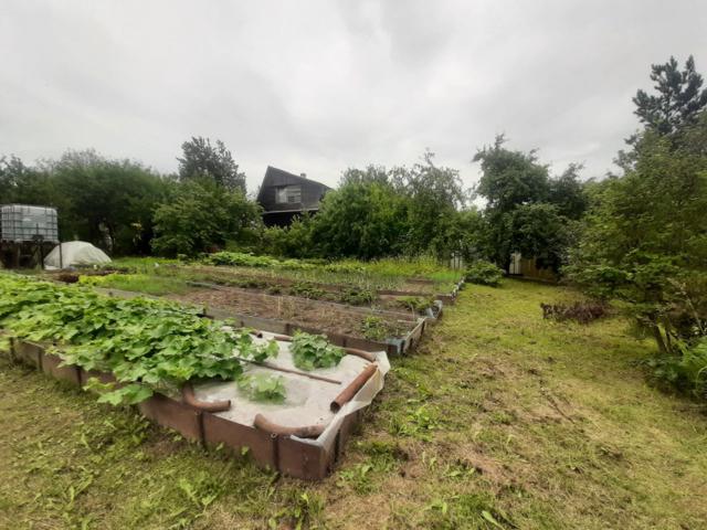 Красноармейское сад., 115