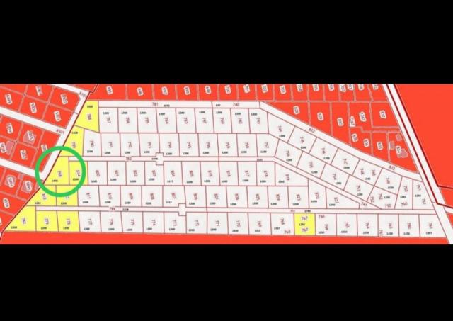 Ленинградская область, Фёдоровское городское поселение
