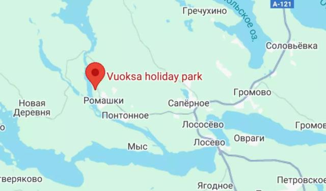 Ленинградская область, Ромашки пос.