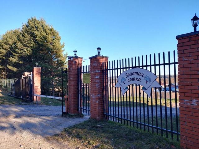 Ленинградская область, Золотая Сотка КП, 11