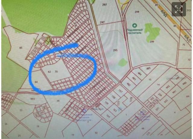 Ленинградская область, Низинское сельское поселение