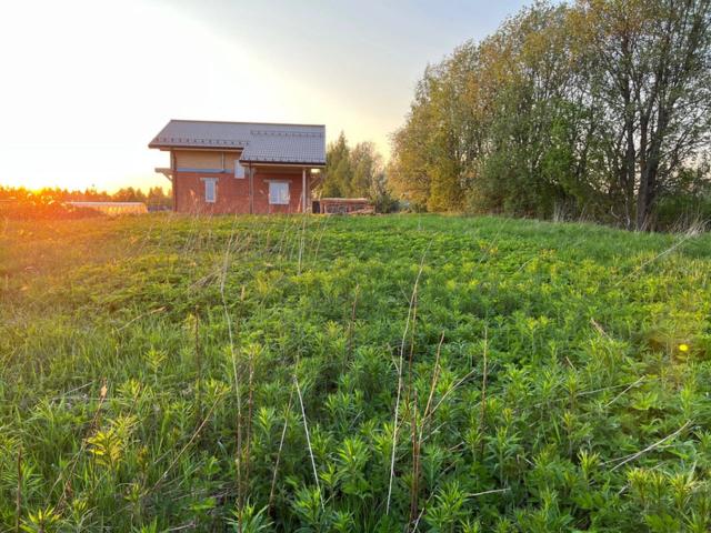 Ленинградская область, Московка КП