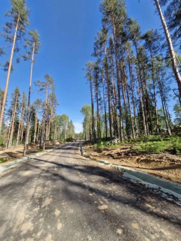 Ленинградская область, Лесное озеро коттеджный посёлок