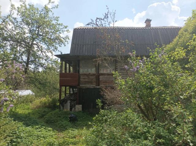 Ленинградская область, Чаща массив, Парус СНТ, 62